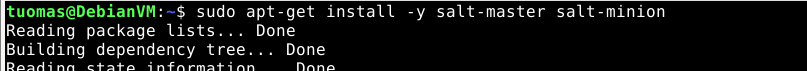 Salt master and minion install